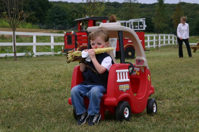 Click for original image 310k 1229x819